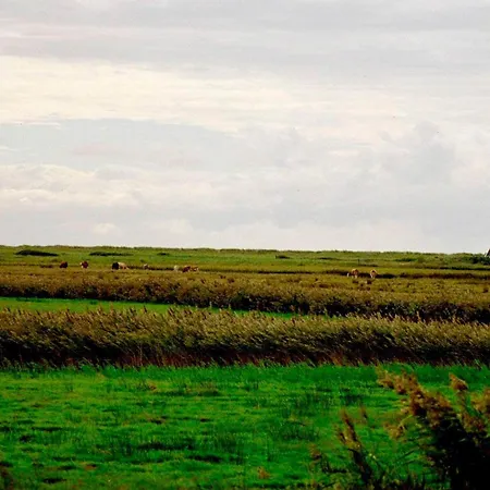Nyaraló Spacious Retreat With View - By Traum