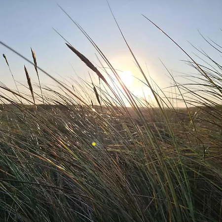 Spacious Retreat With View - By Traum Nyaraló Blåvand