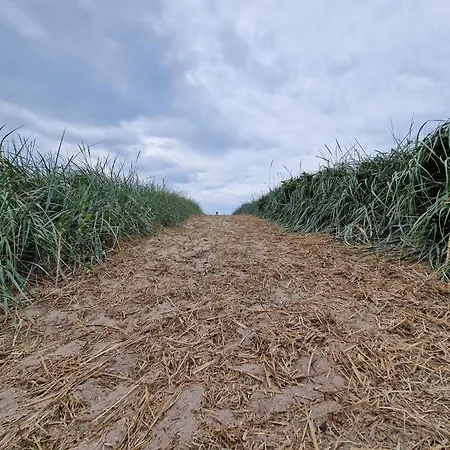 Nyaraló Spacious Retreat With View - By Traum *