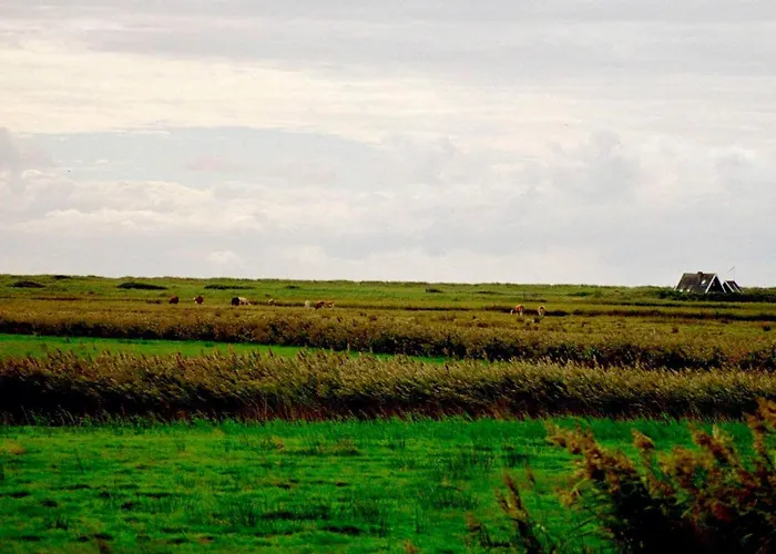 بيت للعطل Spacious Retreat With View - By Traum