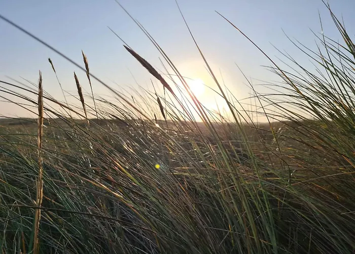 Spacious Retreat With View - By Traum بيت للعطل Blåvand
