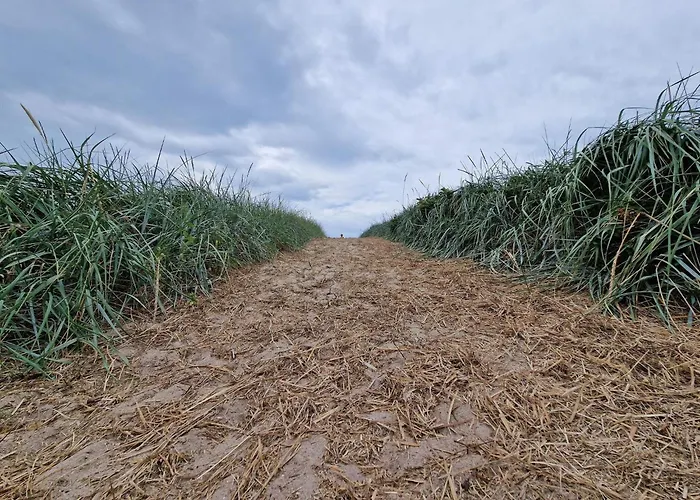 بيت للعطل Spacious Retreat With View - By Traum *